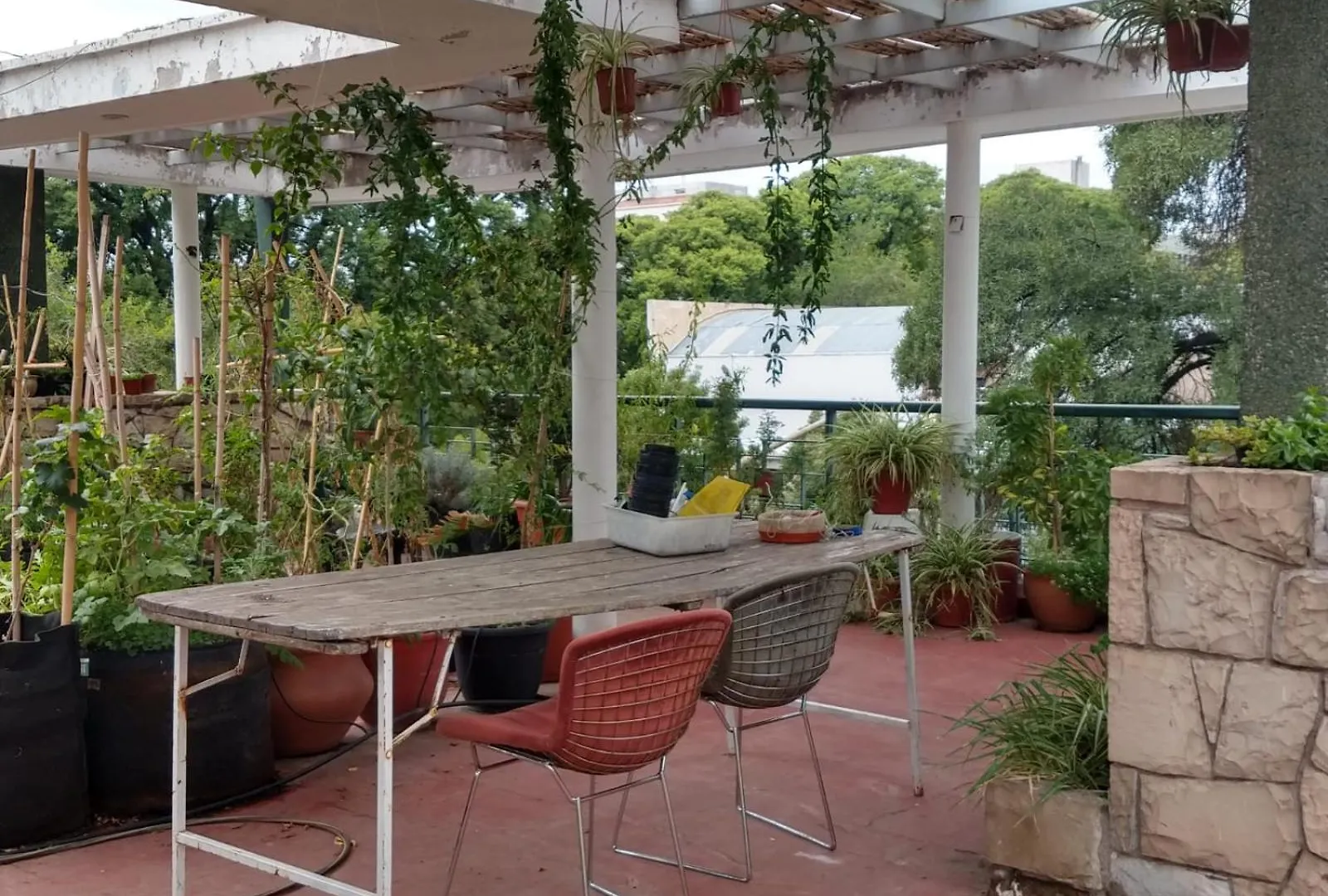 Habitaciones Con Bano Compartido En Departamento Mid Century Modern 멘도사 홈스테이